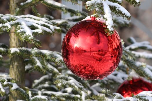 Red Bauble on Christmas Tree with Reflection