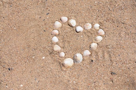 Heart built from different Bivalvia at the beach