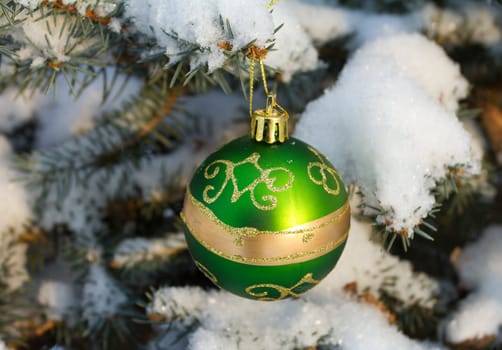 christmas decoration on fir branch outdoors