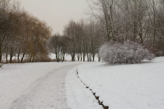 path in snow-covered park 