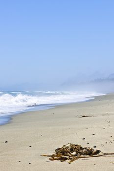 Long Beach in Pacific Rim National park, Canada