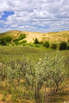 Landscape of Spirit Sands dunes in Spruce Woods Provincial Park, Manitoba, Canada