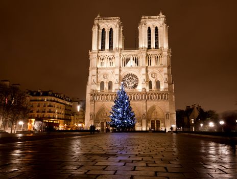 The famous Notre Dame at night in Paris, France