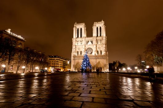 The famous Notre Dame at night in Paris, France