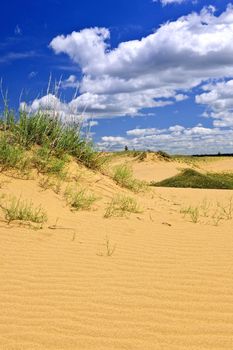 Landscape of Spirit Sands dunes in Spruce Woods Provincial Park, Manitoba, Canada