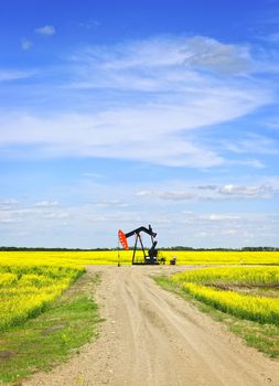 Oil pumpjack or nodding horse pumping unit in Saskatchewan prairies, Canada