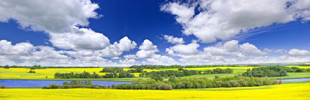 Panoramic landscape prairie view of canola field and lake in Saskatchewan, Canada