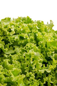 Lettuce salad leaves on a white background.