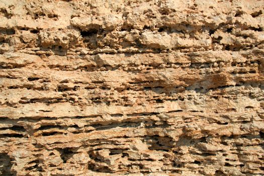 The limestone texture