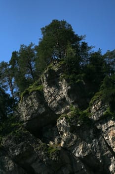 Savage rock, trees on its point