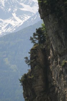 Savage rock, trees, in the background a glacier