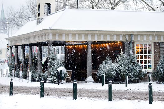 Snow in the city - Selling of christmas trees - it is snowing