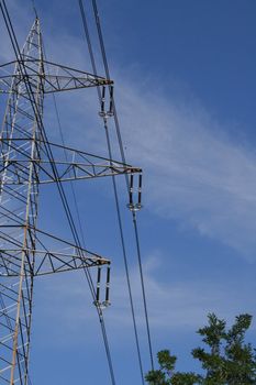 high voltage power line, with a tree