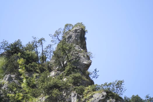 Needle of a Rock