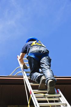 Construction worker climbing extension ladder to roof