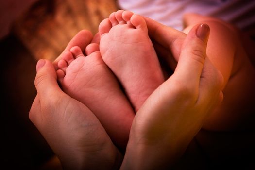 Baby`s feet in mother`s hands