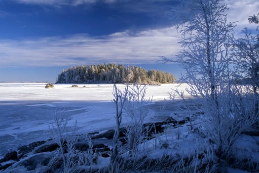 Frozen lake with a small island. Blue sky and sunshine