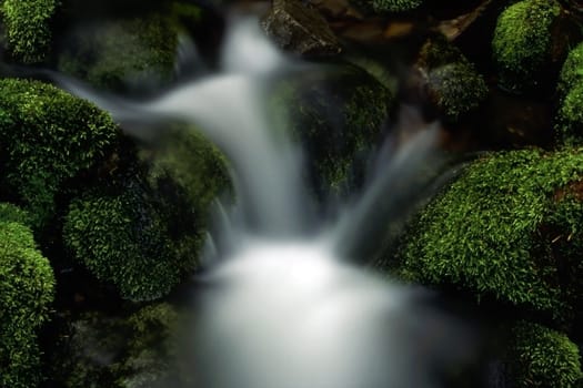 Beautiful stream in mountain. Green grass cover stones