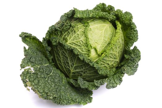 Close up view of a fresh savoy cabbage vegetable isolated on a white background.