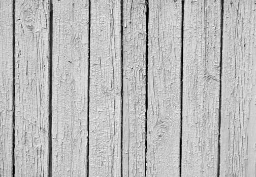 the olden Weathered white wooden textured plank