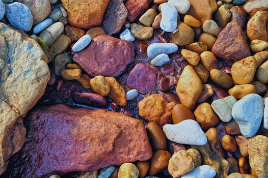 Wet colored pebbles on the sea beach