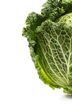 Close up view of a fresh savoy cabbage vegetable isolated on a white background.