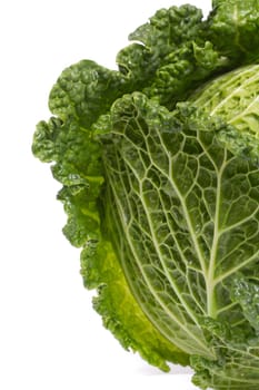 Close up view of a fresh savoy cabbage vegetable isolated on a white background.
