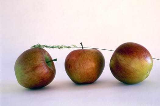 Three apples isolated on painted background