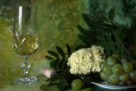 white wine with fruits and flower on painted background