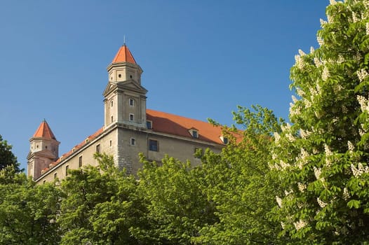 detail photo of bratislava castle, trees in foreground