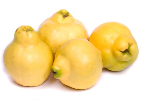 Close up view of some quince fruit isolated on a white background.