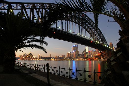 sydney landmarks at night, opera house, cbd and sydney tower, palm silhouettes in foreground
