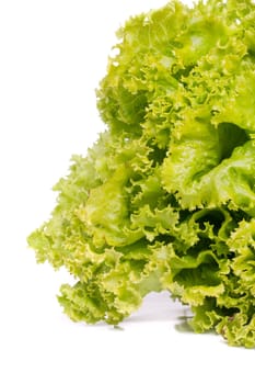 Close up view of some fresh green lettuce isolated on a white background.
