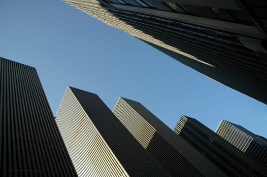 modern skyscrapers, they all look the same, photo taken in new york