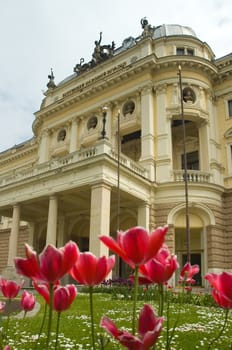 slovak national theatre in the middle of bratislava, tulips in foreground