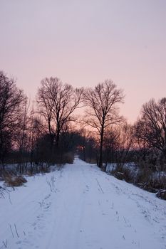 Winter landscape in Poland. Meadows and trees covered with snow, just before sunset.