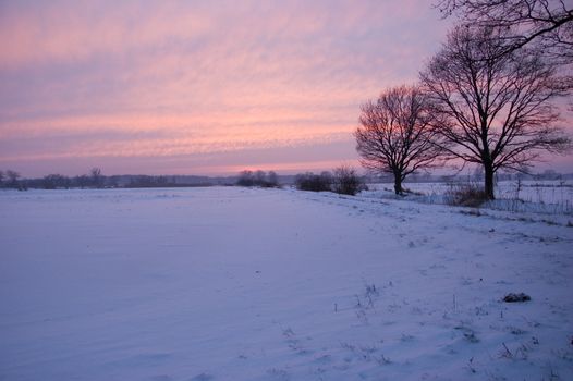 Winter landscape in Poland. Meadows and trees covered with snow, just before sunset.