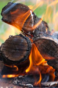 Closeup view of burning logs in a bonfire