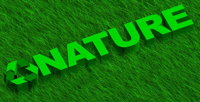 3D illustration of nature word over green grass