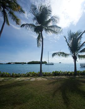 Palm trees line the coast near La Parguera in Puerto Rico