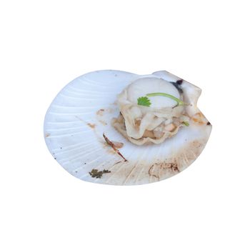 Open roasted scallop isolated over white background