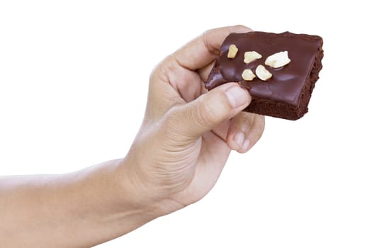 	Female hand holding chocolate brownie isolated on white background