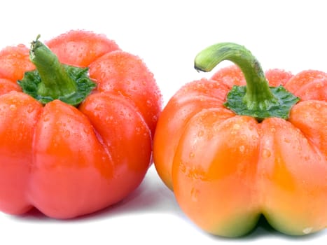 Closeup picture of fresh paprika on white background