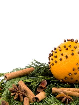 Christmas arrangement with thuja branches and orange with cloves on white background. Available space for text.