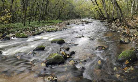 Panorama of a wild river, autumn in a Neris park of a Lithuania