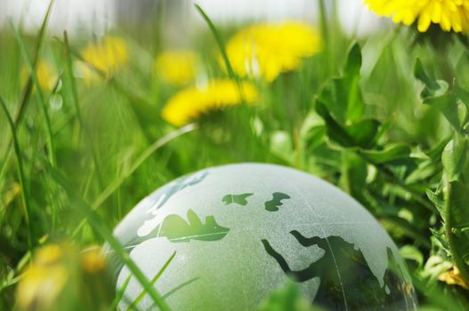 glass globe or earth in green grass showing eco concept with copyspace