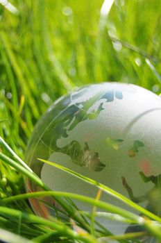 glass globe or earth in green grass showing eco concept with copyspace