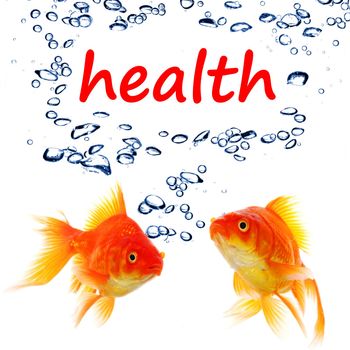word health and goldfish showing spa or healthy lifestyle concept