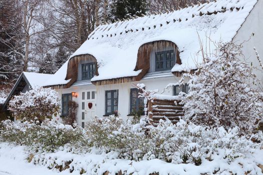 Snow covered thatched Danish cottage in winter