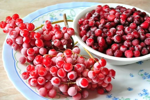 The frozen berries: a guelder-rose, a cranberry